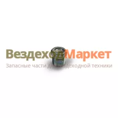 Пробка К10х1/00001-0043231-718 фланца кардана /Белзан/