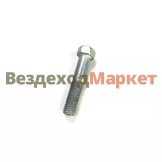 Болт М10х1,5х50/200319-П29 приемн. трубы