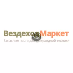 Гайка фонарей М 6х1/00001-0058962-219