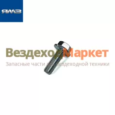 Болт М10х30/8.9243 вала распредел. (Автодизель)