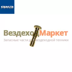 Болт пустотелый 8.8994 мод.1631 02-М10х1-S (Автодизель)